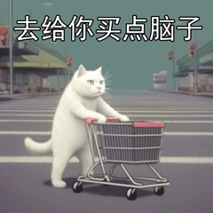 萌宠 猫咪 去给你买点脑子 呆萌 可爱