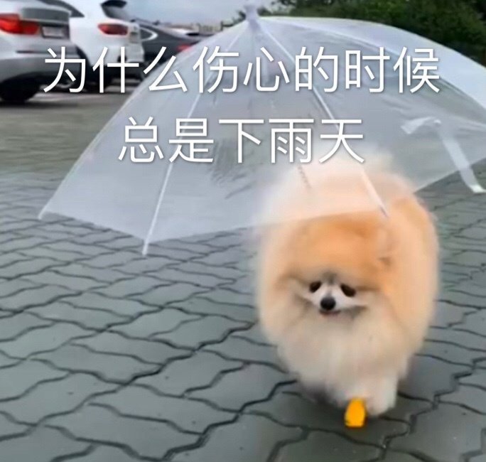 伤心的时候总在下雨天呆萌可爱gif动图