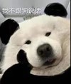 萌宠 汪星人 我不跟狗说话 托腮 搞怪 呆萌