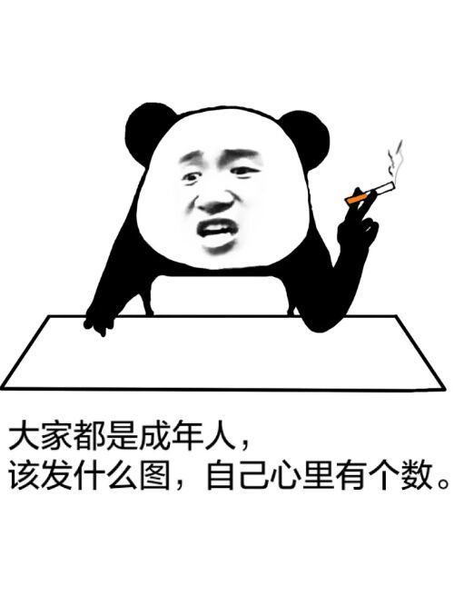 金馆长熊猫抽烟大家都是成年人gif动图