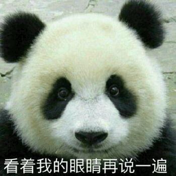 熊猫头傻眼表情包图片