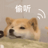 萌宠 狗狗 偷听 呆萌 可爱
