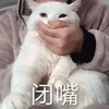 萌宠 猫星人 闭嘴 别说话 搞怪 呆萌