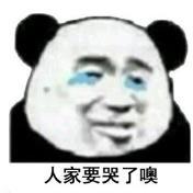 暴漫 熊猫头 人家要哭了哦 搞笑 逗 沙雕