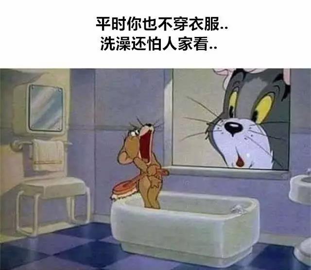 猫和老鼠看洗澡表情包图片