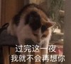 萌宠 猫星人 过完这一夜 我就不会再想你 搞怪 呆萌