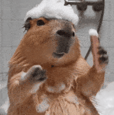 搞怪 沙雕 抽象 水獭