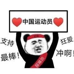 暴漫 熊猫头 中国队加油 冲啊 搞怪 逗