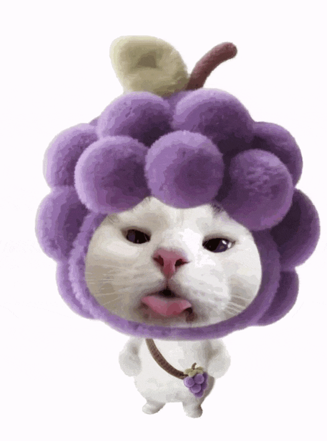 猫咪 可爱 搞怪 沙雕