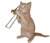 萌宠 猫咪 音乐 呆萌 可爱