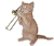 萌宠 猫咪 音乐 呆萌 可爱