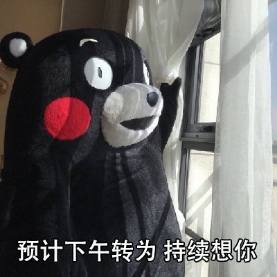 熊本熊天气预报撩土味情话gif动图