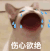popo猫 大嘴猫咪 可爱 沙雕 搞笑