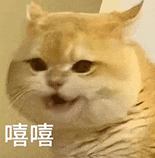 萌寵 貓咪 嘻嘻 呆萌 可愛