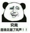 暴漫 熊猫头 究竟是谁走漏的风声 搞笑 逗 沙雕