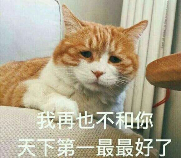 猫喵星人铲屎官猫咪可爱呆萌gif动图_动态图_表情包下载_soogif