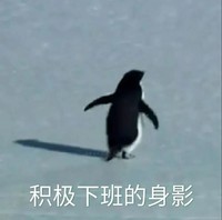 企鹅 背影 积极下班的身影 工作 下班 可爱 沙雕