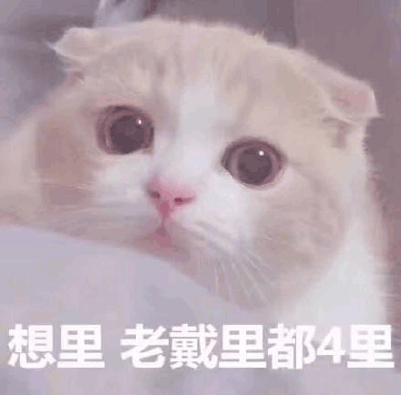 沙雕表情