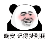 暴漫 熊猫头 晚安记得梦到我 搞怪 逗