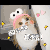猫咪 情侣 可爱 搞笑