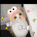 猫咪 情侣 可爱 搞笑