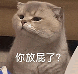 萌寵 貓咪 呆萌 可愛