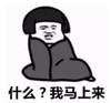 暴漫 文字表情包 什么我马上来 搞笑 逗 沙雕