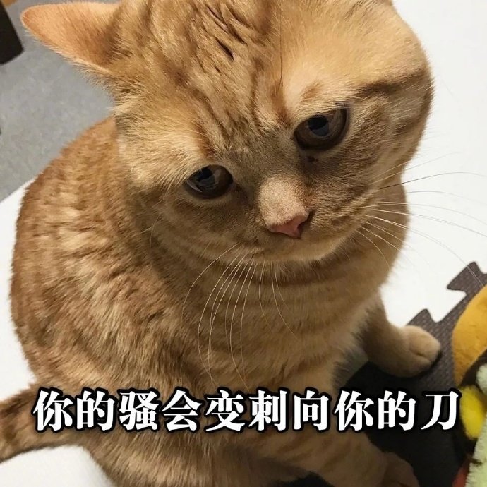 猫星人我的骚会变刺向你的刀凶巴巴呆萌可爱gif动图