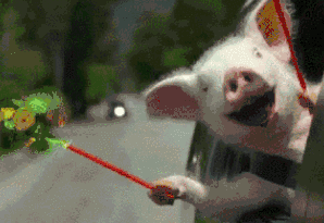 一只猪拿着风车图片