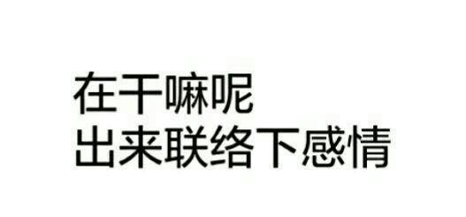 出来联络一下感情装逼斗图微信怼人表情必备gif动图_动态图_表情包