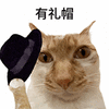 萌宠 猫咪 有礼帽 呆萌 可爱