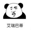 暴漫 熊猫头 艾瑞巴蒂 搞笑 逗 沙雕