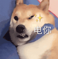 萌宠 狗狗 电你 呆萌 可爱