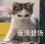 萌寵 貓咪 反派登場 呆萌 可愛