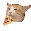 萌宠 猫咪 吃 呆萌 可爱