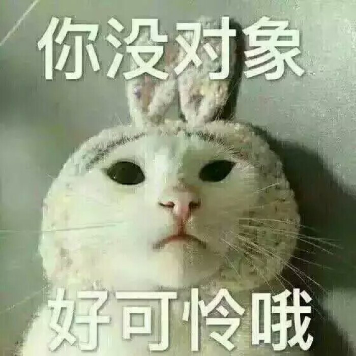 我没对象表情包图片