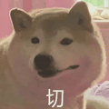 萌宠 狗狗 切 呆萌 可爱