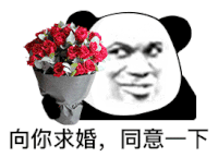 暴漫 熊猫头 向你求婚 同意一下 搞怪 逗