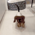 萌宠 狗 摇 呆萌 可爱