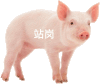 站岗小狗 狗狗 沙雕 搞笑 逗