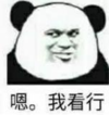 暴漫 熊猫头 嗯我看行 搞笑 逗 沙雕