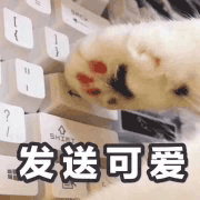 沙雕猫