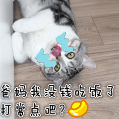 可爱