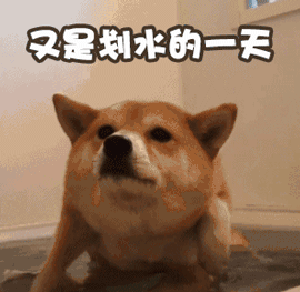 又是学习的一天动态图_今天又是学习的一天表情包gif动图下载_soogif