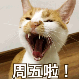 周末gif周五gif猫gif可爱gif呆萌gif