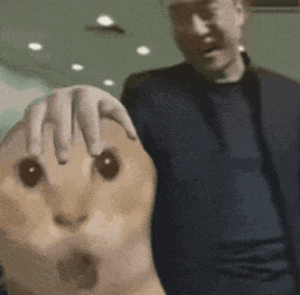 搞笑 猫咪 沙雕 可爱
