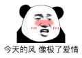 暴漫 熊猫头 今天的风像极了爱情 搞怪 逗