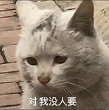 萌寵 貓咪 對(duì)我沒人要 呆萌 可愛