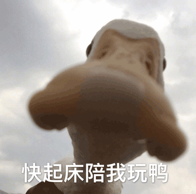 快陪我玩表情包图片