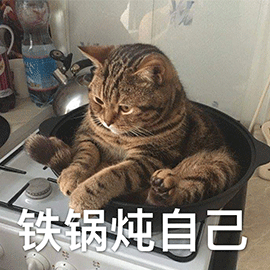 萌宠猫咪猫铁锅炖自己搞怪gif动图